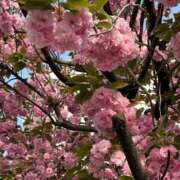 ヒメ日記 2025/04/19 08:07 投稿 まきこ 奥様の実話 梅田店