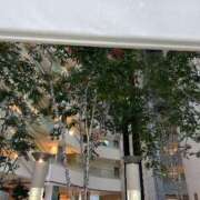 ヒメ日記 2025/04/22 18:48 投稿 まきこ 奥様の実話 梅田店