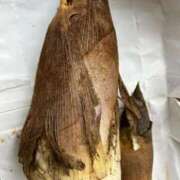 ヒメ日記 2025/04/22 19:16 投稿 まきこ 奥様の実話 梅田店