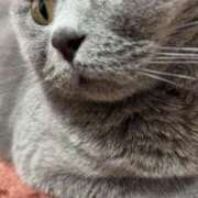 ヒメ日記 2025/04/22 20:39 投稿 まきこ 奥様の実話 梅田店