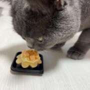 ヒメ日記 2025/04/24 19:45 投稿 まきこ 奥様の実話 梅田店