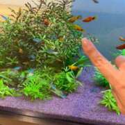 ヒメ日記 2025/04/28 09:15 投稿 まきこ 奥様の実話 梅田店