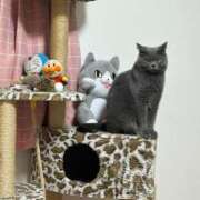 ヒメ日記 2025/04/28 22:33 投稿 まきこ 奥様の実話 梅田店