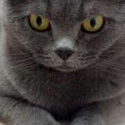 ヒメ日記 2025/04/30 22:24 投稿 まきこ 奥様の実話 梅田店