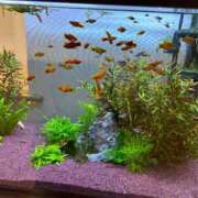 ヒメ日記 2025/05/02 09:01 投稿 まきこ 奥様の実話 梅田店