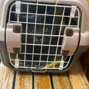 ヒメ日記 2025/05/09 09:38 投稿 まきこ 奥様の実話 梅田店