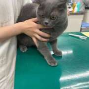 ヒメ日記 2025/05/09 09:53 投稿 まきこ 奥様の実話 梅田店