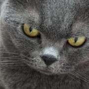 ヒメ日記 2025/05/13 21:13 投稿 まきこ 奥様の実話 梅田店