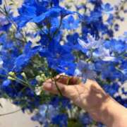 ヒメ日記 2025/05/15 13:45 投稿 まきこ 奥様の実話 梅田店