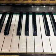 ヒメ日記 2025/05/15 20:03 投稿 まきこ 奥様の実話 梅田店