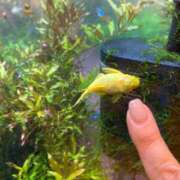 ヒメ日記 2025/05/16 09:00 投稿 まきこ 奥様の実話 梅田店