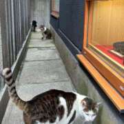 ヒメ日記 2025/05/19 00:16 投稿 まきこ 奥様の実話 梅田店