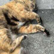 ヒメ日記 2025/05/21 18:49 投稿 まきこ 奥様の実話 梅田店