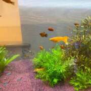 ヒメ日記 2025/05/23 09:01 投稿 まきこ 奥様の実話 梅田店