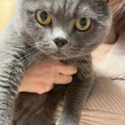 ヒメ日記 2025/05/25 21:16 投稿 まきこ 奥様の実話 梅田店