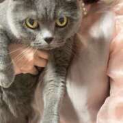 ヒメ日記 2025/05/30 20:20 投稿 まきこ 奥様の実話 梅田店