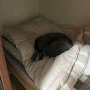 ヒメ日記 2025/05/31 20:44 投稿 まきこ 奥様の実話 梅田店