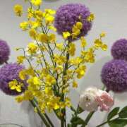 ヒメ日記 2025/06/02 10:01 投稿 まきこ 奥様の実話 梅田店