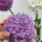 ヒメ日記 2025/06/02 10:15 投稿 まきこ 奥様の実話 梅田店