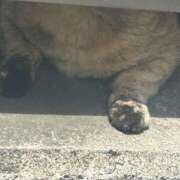 ヒメ日記 2025/06/06 19:15 投稿 まきこ 奥様の実話 梅田店