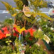 ヒメ日記 2025/06/07 13:37 投稿 まきこ 奥様の実話 梅田店