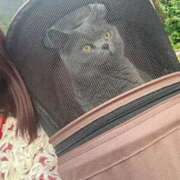 ヒメ日記 2025/06/07 18:35 投稿 まきこ 奥様の実話 梅田店