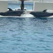 ヒメ日記 2025/06/10 15:07 投稿 まきこ 奥様の実話 梅田店