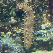 ヒメ日記 2025/06/10 15:54 投稿 まきこ 奥様の実話 梅田店