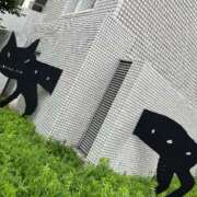 ヒメ日記 2025/06/11 19:00 投稿 まきこ 奥様の実話 梅田店