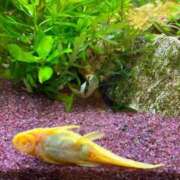 ヒメ日記 2025/06/16 09:01 投稿 まきこ 奥様の実話 梅田店