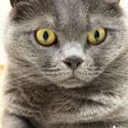 ヒメ日記 2025/06/18 21:11 投稿 まきこ 奥様の実話 梅田店