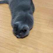 ヒメ日記 2025/06/21 23:21 投稿 まきこ 奥様の実話 梅田店