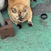 ヒメ日記 2025/06/22 19:09 投稿 まきこ 奥様の実話 梅田店