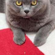 ヒメ日記 2025/06/23 20:39 投稿 まきこ 奥様の実話 梅田店