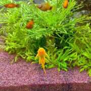 ヒメ日記 2025/06/27 09:00 投稿 まきこ 奥様の実話 梅田店