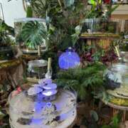 ヒメ日記 2025/07/01 18:30 投稿 まきこ 奥様の実話 梅田店