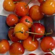 ヒメ日記 2025/07/01 20:00 投稿 まきこ 奥様の実話 梅田店