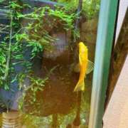 ヒメ日記 2025/07/05 09:00 投稿 まきこ 奥様の実話 梅田店