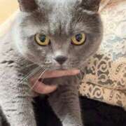 ヒメ日記 2025/07/09 21:55 投稿 まきこ 奥様の実話 梅田店