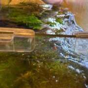 ヒメ日記 2025/07/11 14:45 投稿 まきこ 奥様の実話 梅田店