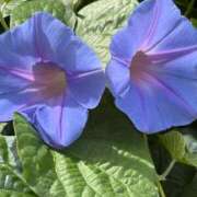 ヒメ日記 2025/07/23 09:30 投稿 まきこ 奥様の実話 梅田店