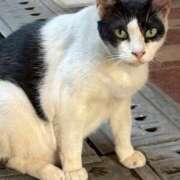 ヒメ日記 2025/07/27 22:28 投稿 まきこ 奥様の実話 梅田店