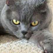 ヒメ日記 2025/07/31 21:08 投稿 まきこ 奥様の実話 梅田店