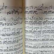 ヒメ日記 2025/07/31 21:10 投稿 まきこ 奥様の実話 梅田店