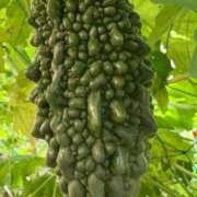 ヒメ日記 2025/08/06 09:00 投稿 まきこ 奥様の実話 梅田店