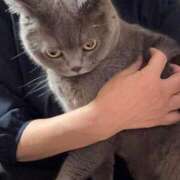 ヒメ日記 2025/08/06 21:37 投稿 まきこ 奥様の実話 梅田店