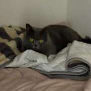 ヒメ日記 2025/08/07 21:47 投稿 まきこ 奥様の実話 梅田店