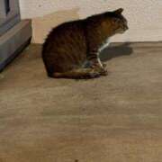 ヒメ日記 2025/08/16 22:00 投稿 まきこ 奥様の実話 梅田店