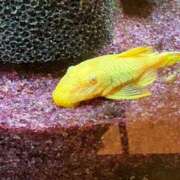 ヒメ日記 2025/08/19 09:15 投稿 まきこ 奥様の実話 梅田店