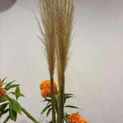 ヒメ日記 2025/08/19 15:15 投稿 まきこ 奥様の実話 梅田店